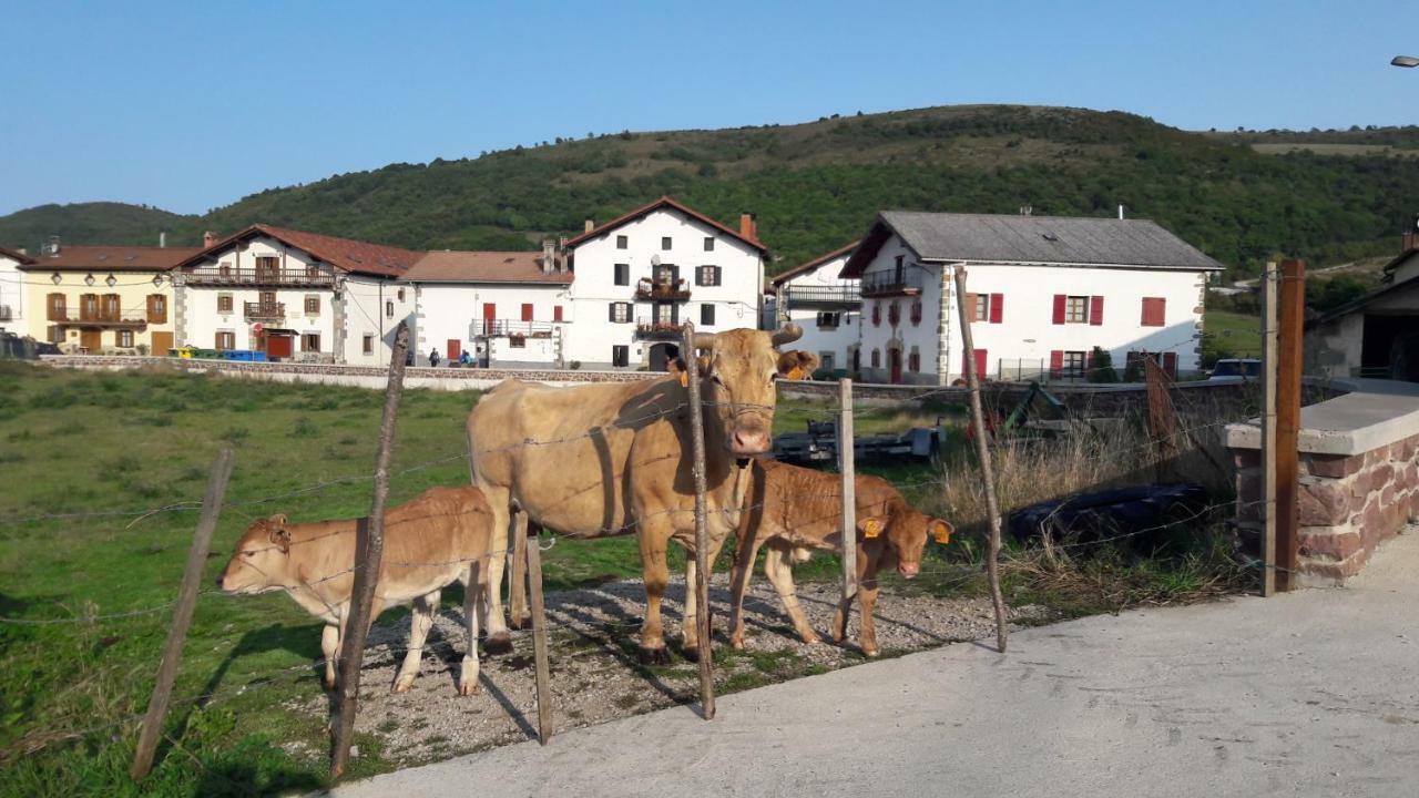 Pension El-La Viscarret-Guerendiain Dış mekan fotoğraf